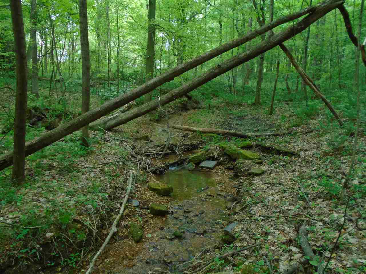 0 Green River Road Rochester, KY 42273 - Photo 24 of 35 Gallery Image 24
