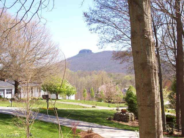 132 Pine Ridge Trail Pinnacle, NC 27043 - Photo 2 of 5 Other. View from property!