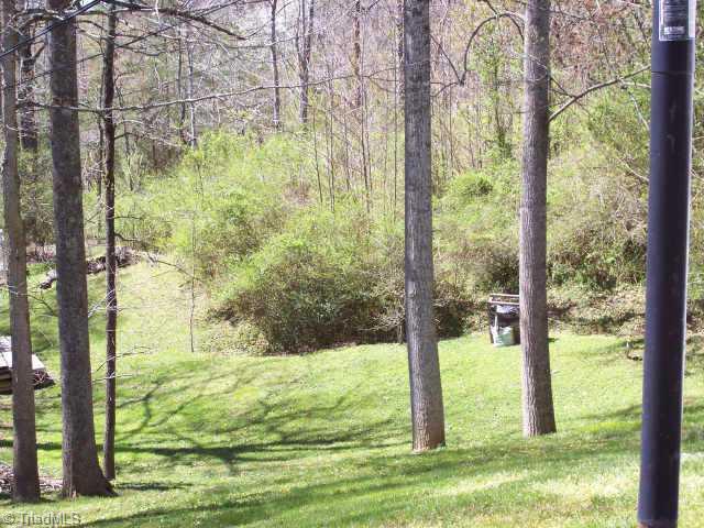 132 Pine Ridge Trail Pinnacle, NC 27043 - Photo 3 of 5 Other.