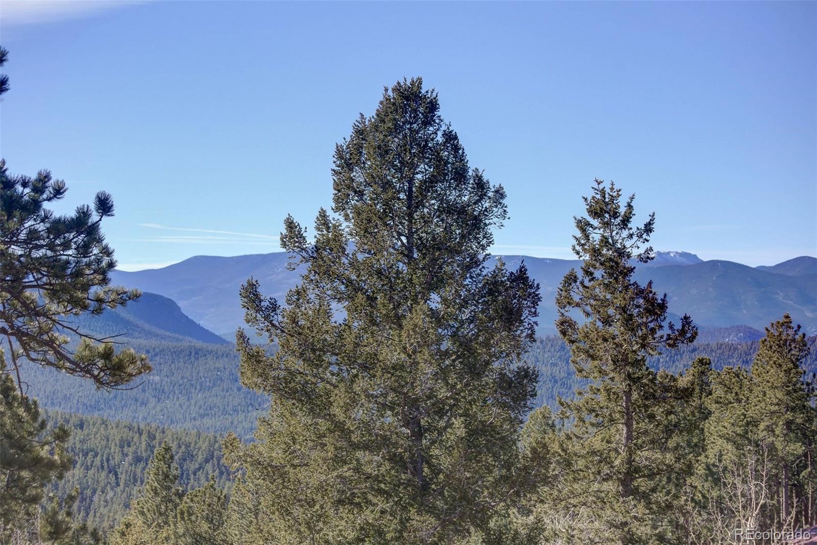 50 Ridge Circle Pine, CO 80470 - Photo 28 of 31 Gallery Image 28