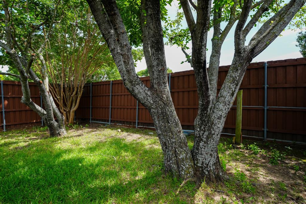 8809 Pheasant Run Drive Rowlett, TX 75089 - Photo 21 of 23