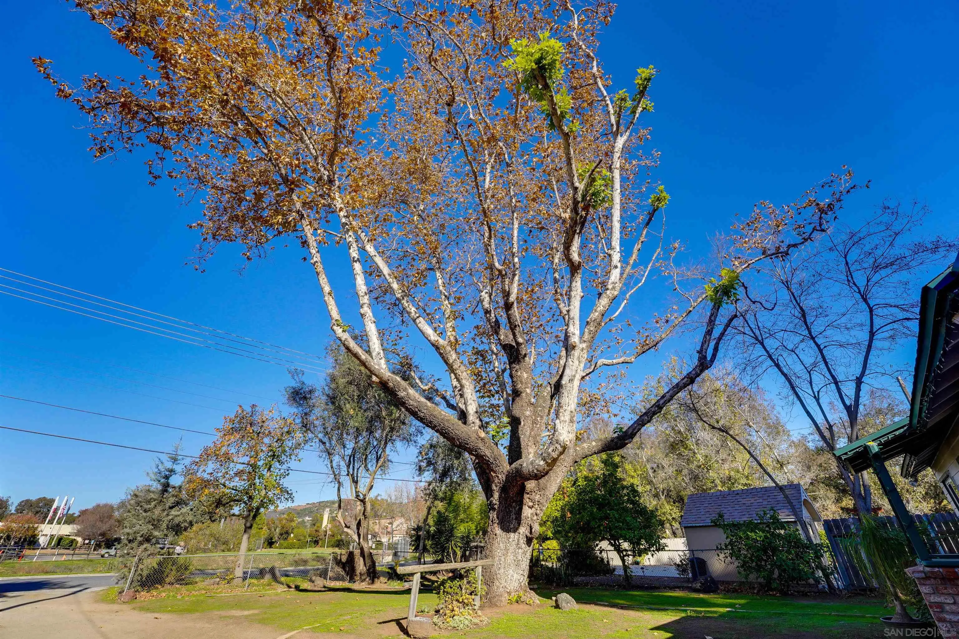 14153 Ezra Lane Poway, CA 92064 - Photo 4 of 38