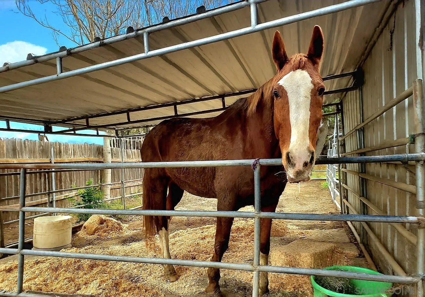 14153 Ezra Lane Poway, CA 92064 - Photo 9 of 38