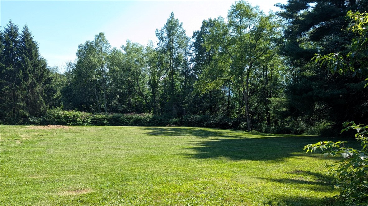 725 State Street Oneonta, NY 13820 - Photo 6 of 25 Lot has great combination of lawn and wooded area