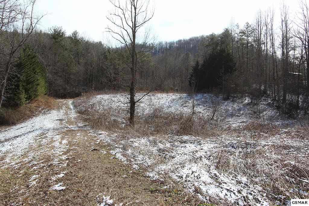 172 Highway 107 Del Rio, TN 37727 - Photo 3 of 9 Gallery Image 3