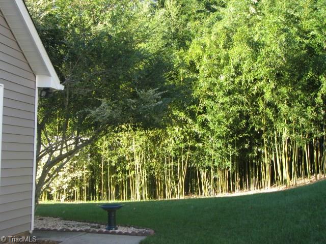 5802 Running Ridge Road Greensboro, NC 27407 - Photo 21 of 29 Gallery Image 21