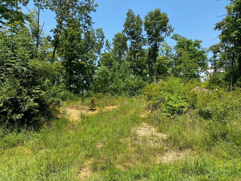 30-ac Greenbriar Road Breeding, KY 42715 - Photo 1 of 1 Gallery Image 1