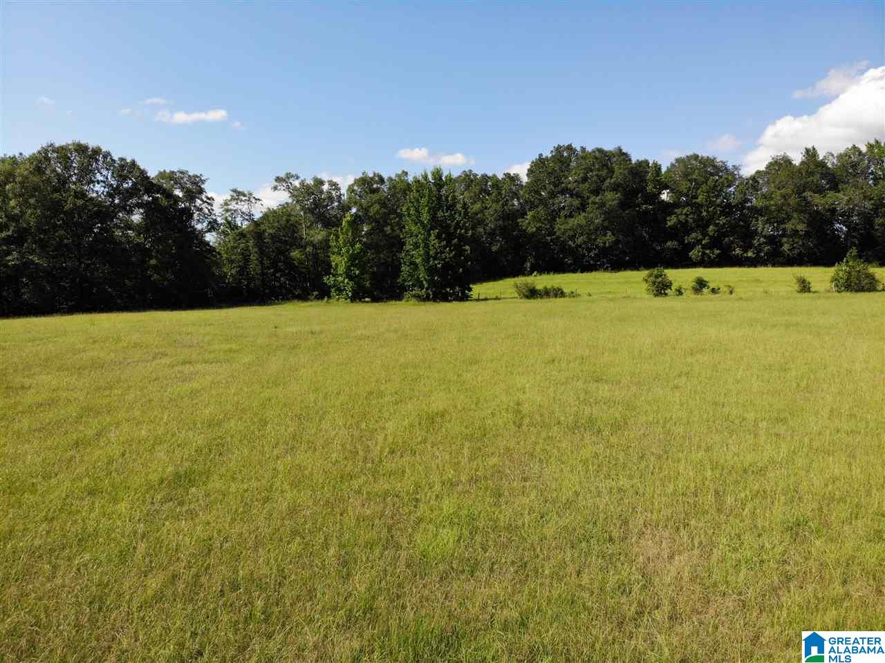 0 Antler Loop Rockford, AL 35136 - Photo 7 of 12