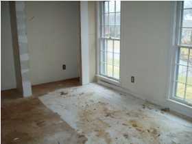 9105 Collingwood Road Louisville, KY 40299 - Photo 8 of 8 Additional Photo