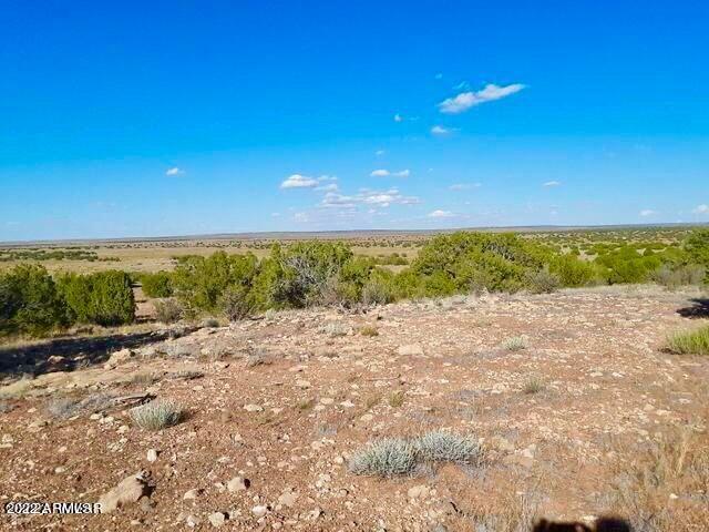 - Chevelon Canyon Ranch, Unit 3 342 Heber, AZ 85928 - Photo 11 of 16 20220325091412266241000000-o
