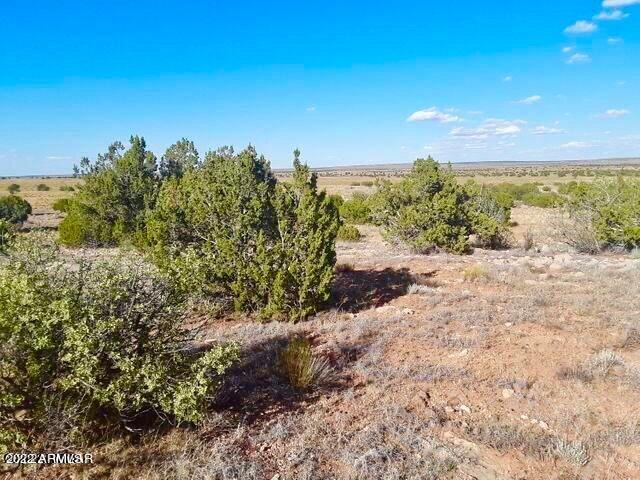 - Chevelon Canyon Ranch, Unit 3 342 Heber, AZ 85928 - Photo 12 of 16 20220325091413253055000000-o