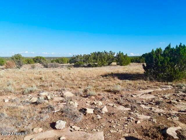 - Chevelon Canyon Ranch, Unit 3 342 Heber, AZ 85928 - Photo 13 of 16 20220325091414194322000000-o