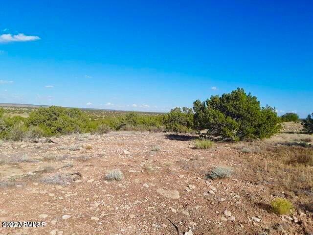 - Chevelon Canyon Ranch, Unit 3 342 Heber, AZ 85928 - Photo 14 of 16 20220325091415073131000000-o