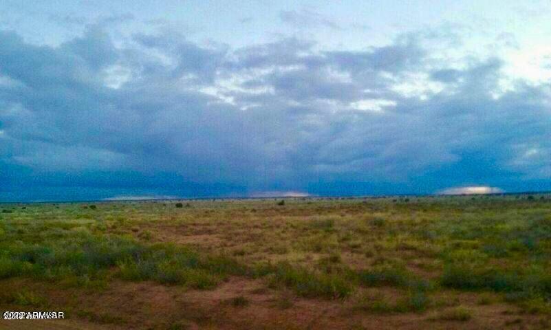 - Chevelon Canyon Ranch, Unit 3 342 Heber, AZ 85928 - Photo 8 of 16 20220325091408693326000000-o