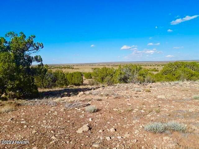 - Chevelon Canyon Ranch, Unit 3 342 Heber, AZ 85928 - Photo 10 of 16 20220325091411400968000000-o