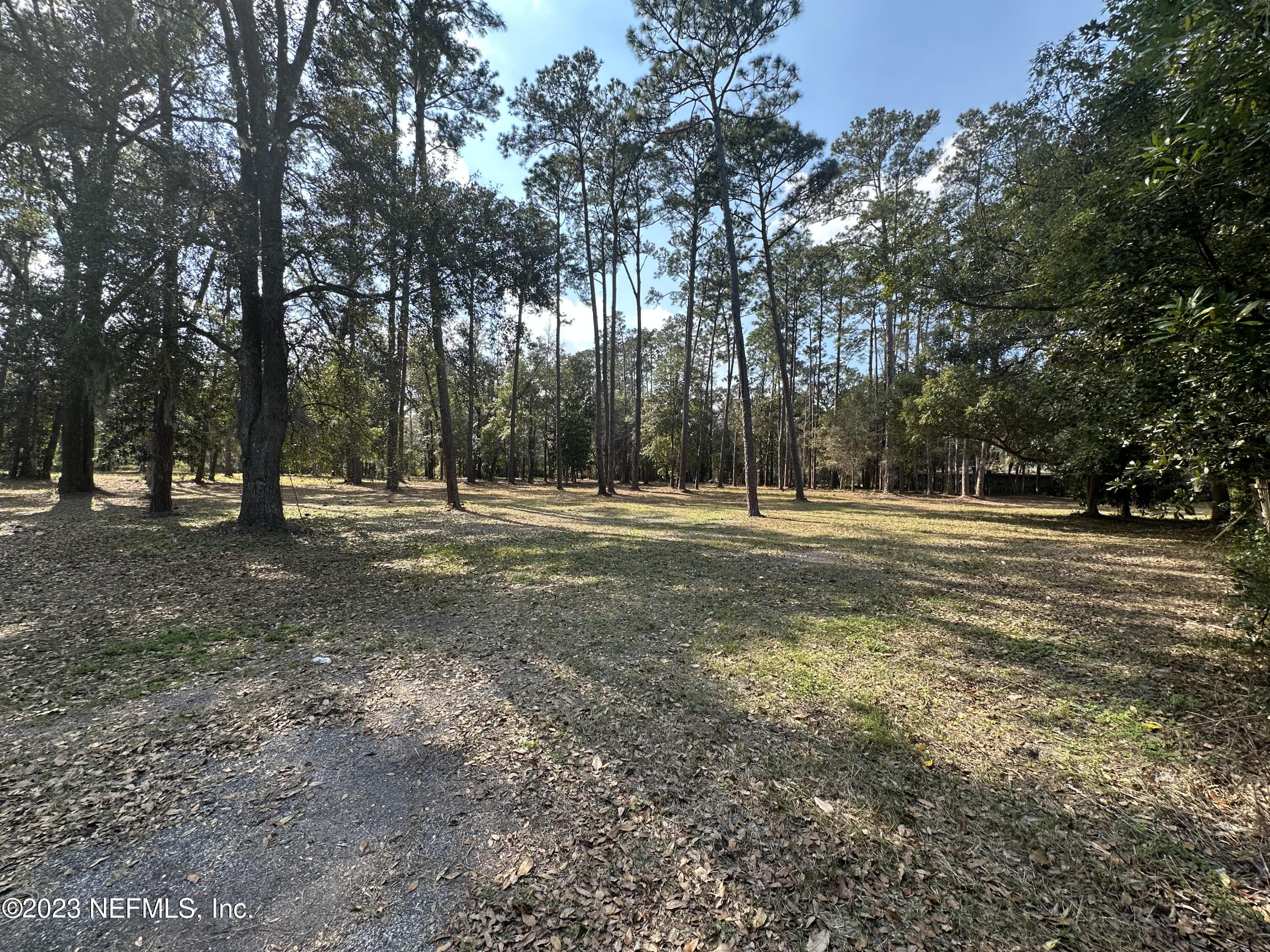 0 Hibernia Road Fleming Island, FL 32003 - Photo 5 of 6 Right Side of Lot