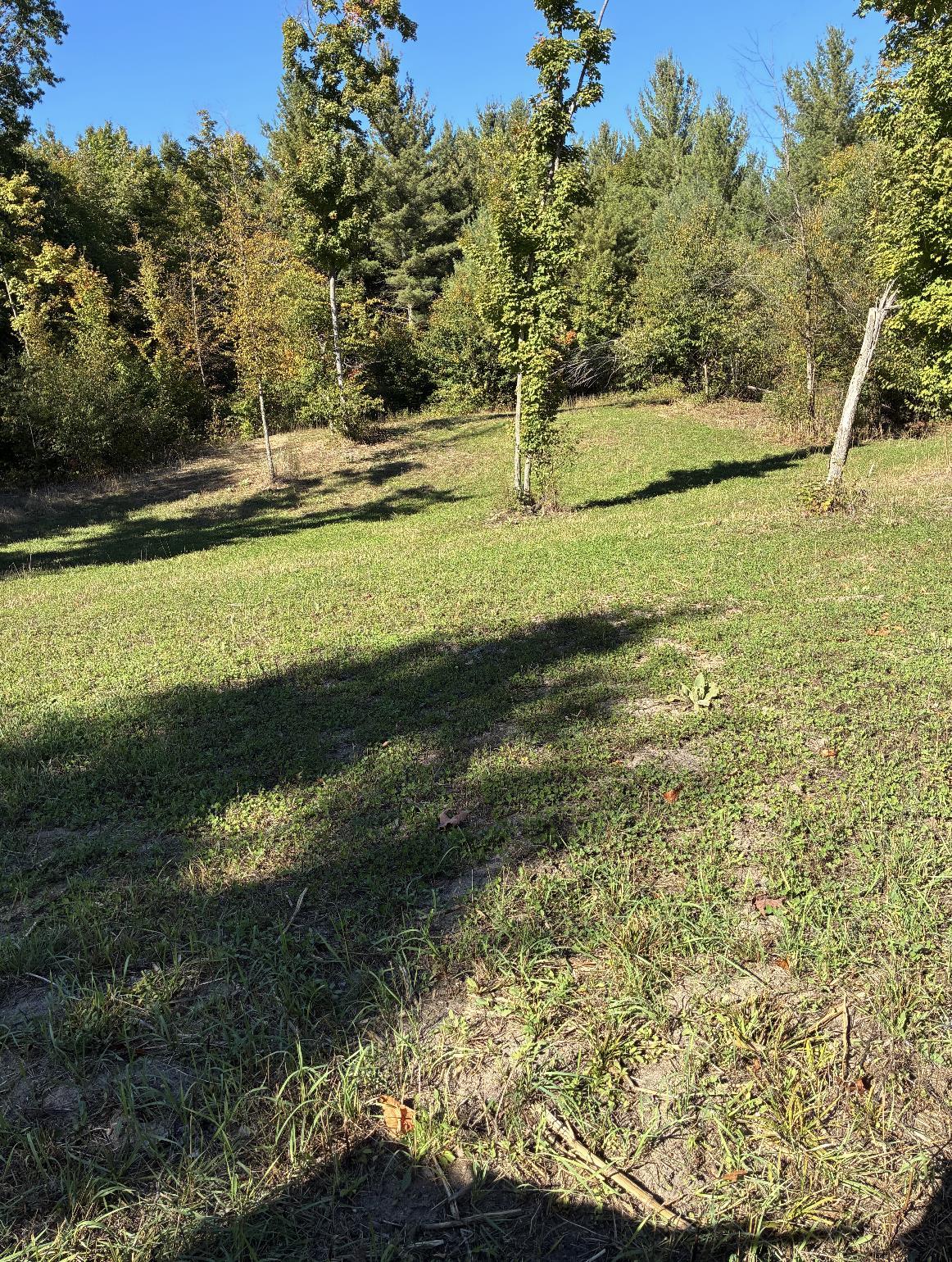 0 Henschell Road Fife Lake, MI 49633 - Photo 29 of 35 Gallery Image 29