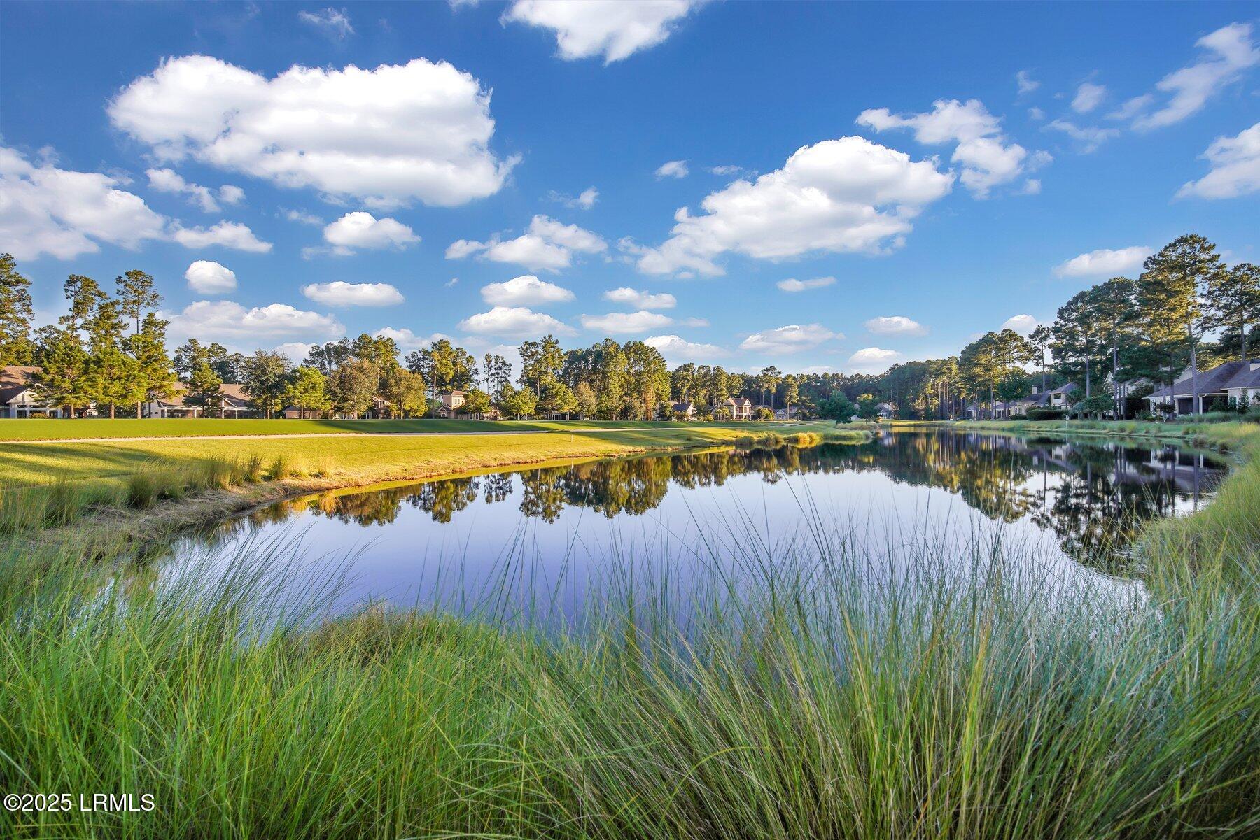 21 Braemar Court Bluffton, SC 29910 - Photo 86 of 98 99-web-or-mls-DSC02597