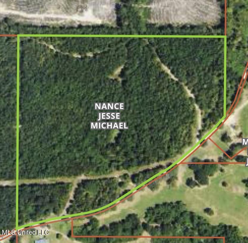 0 Hayman Lake Road Mendenhall, MS 39114 - Photo 11 of 11 IMG_5543