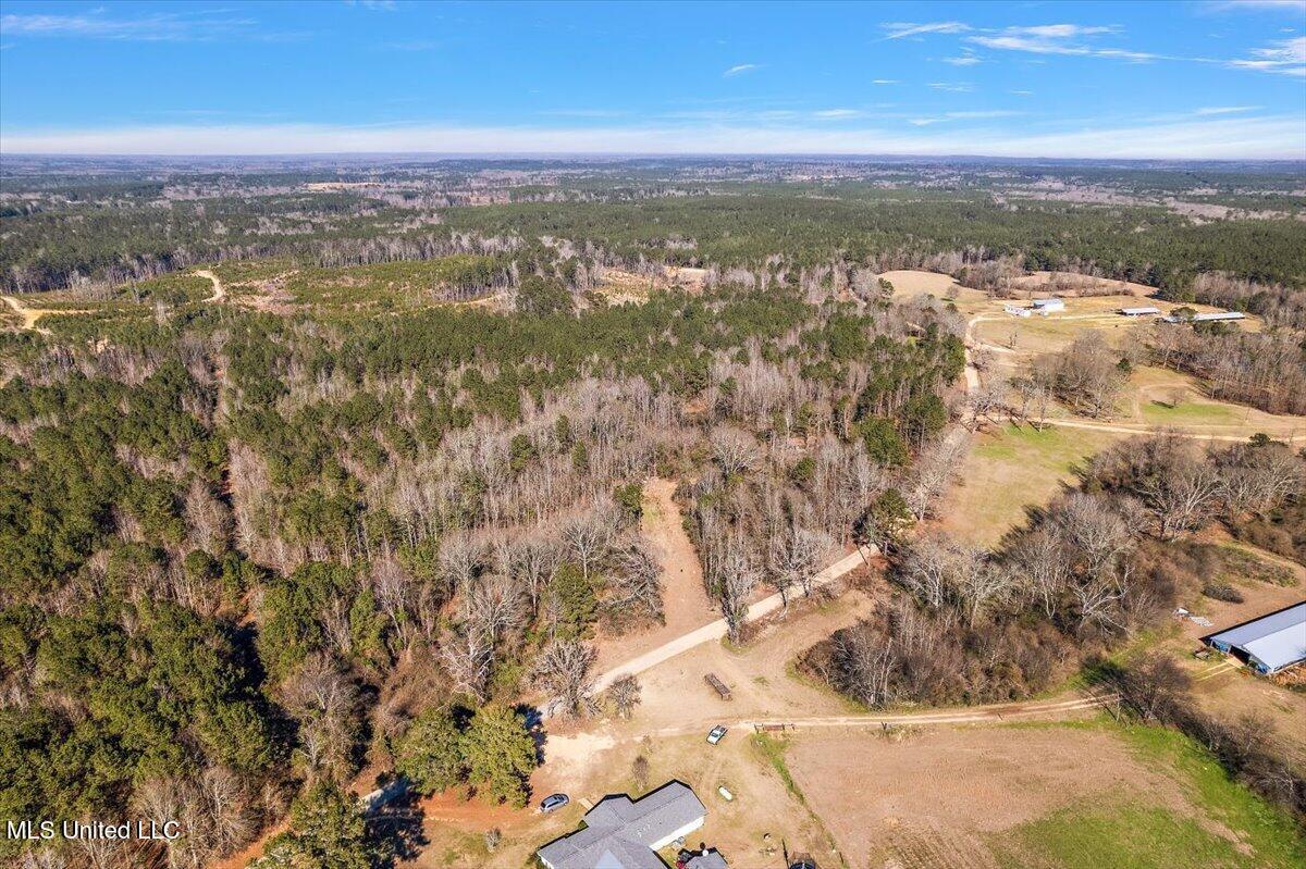 0 Hayman Lake Road Mendenhall, MS 39114 - Photo 3 of 11 2-DJI_0169