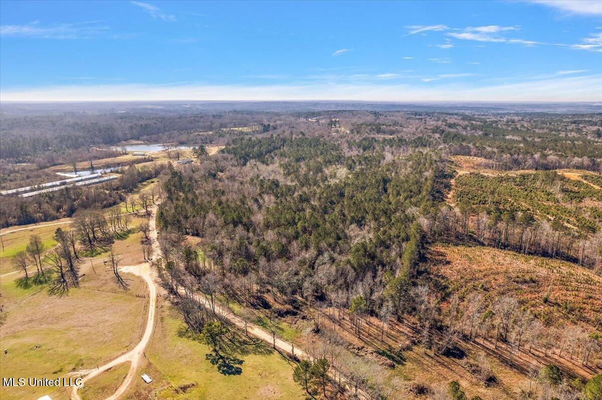 0 Hayman Lake Road Mendenhall, MS 39114 - Photo 5 of 11 4-DJI_0183
