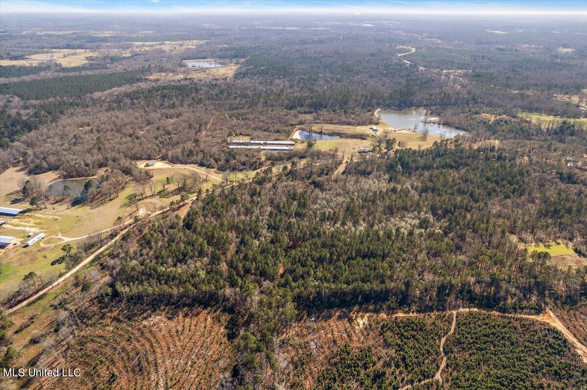 0 Hayman Lake Road Mendenhall, MS 39114 - Photo 6 of 11 5-DJI_0179
