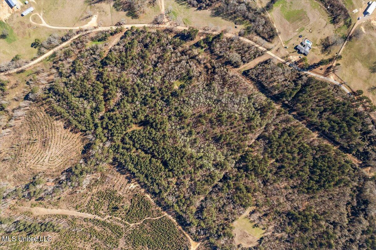 0 Hayman Lake Road Mendenhall, MS 39114 - Photo 7 of 11 6-DJI_0173