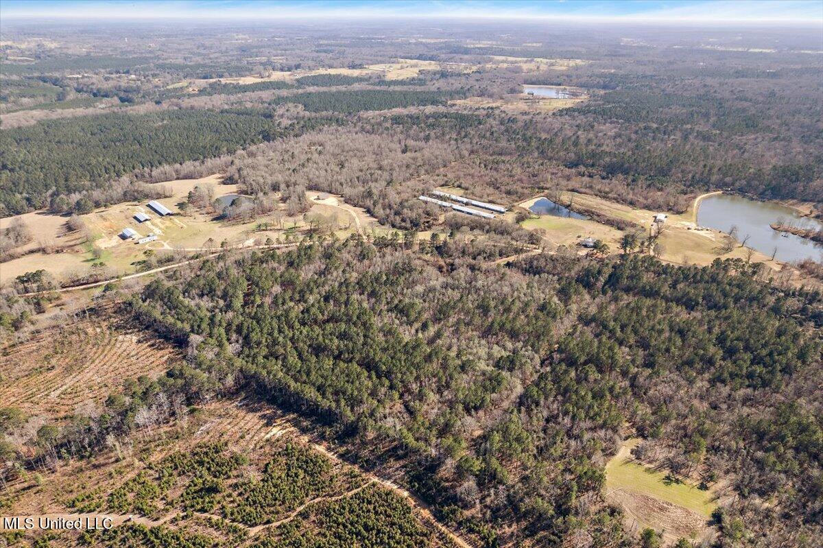 0 Hayman Lake Road Mendenhall, MS 39114 - Photo 8 of 11 7-DJI_0176