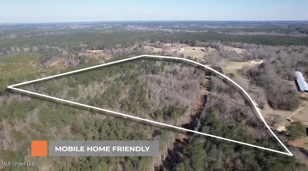 0 Hayman Lake Road Mendenhall, MS 39114 - Photo 9 of 11 IMG_5552