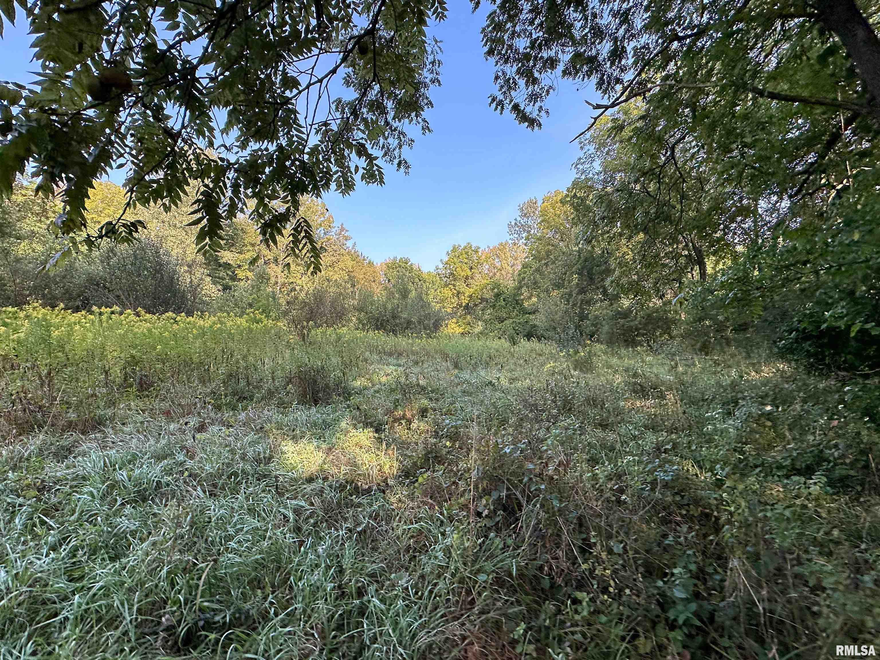 0 County Road 2 Road Smithfield, IL 61477 - Photo 1 of 1