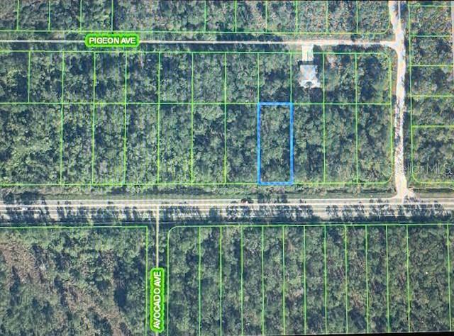 2600 Hammock Road Sebring, FL 33870 - Photo 3 of 3