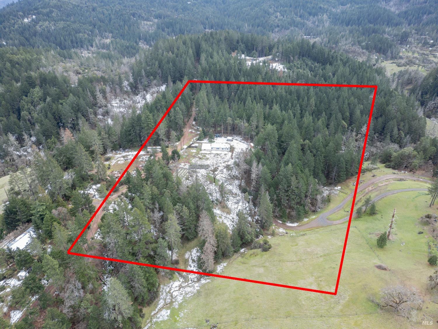 5751 Ridgewood Road Willits, CA 95490 - Photo 17 of 27 a picture of a small yard and a large tree