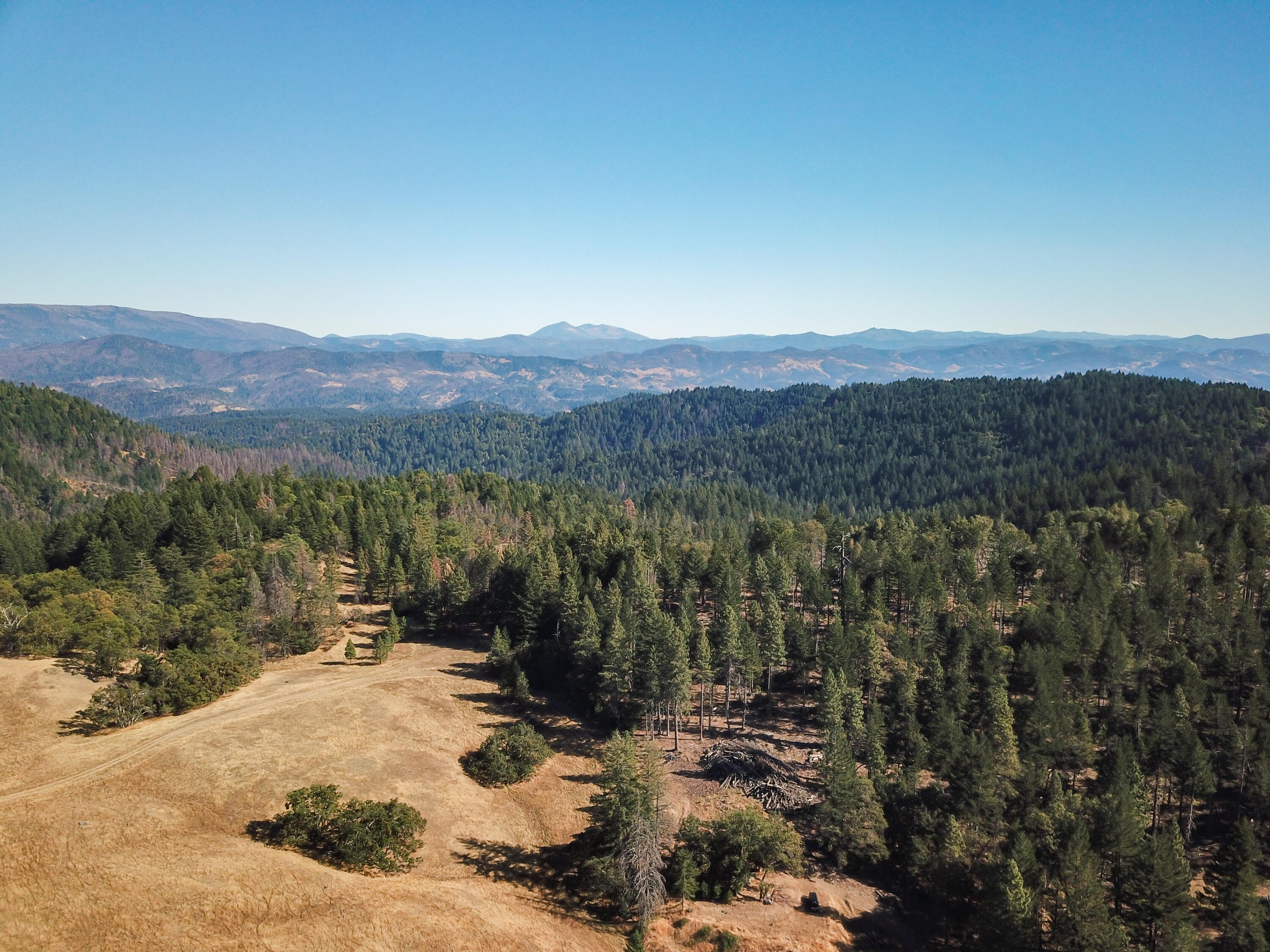 80-acre Bluff Creek Road Zenia, CA 95595 - Photo 4 of 27
