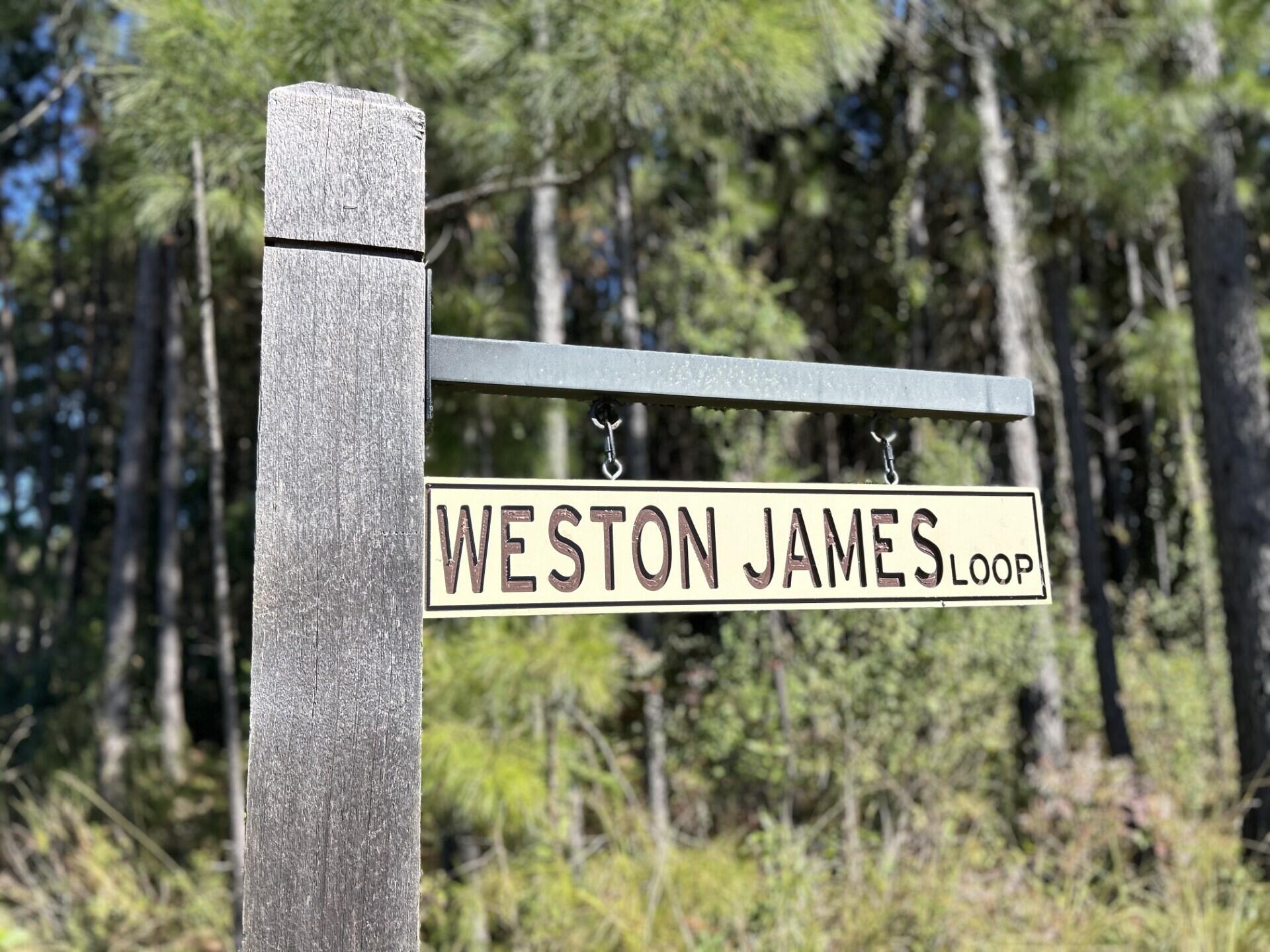 105 Weston James Loop Huger, SC 29450 - Photo 61 of 63 thumbnail_IMG_3981