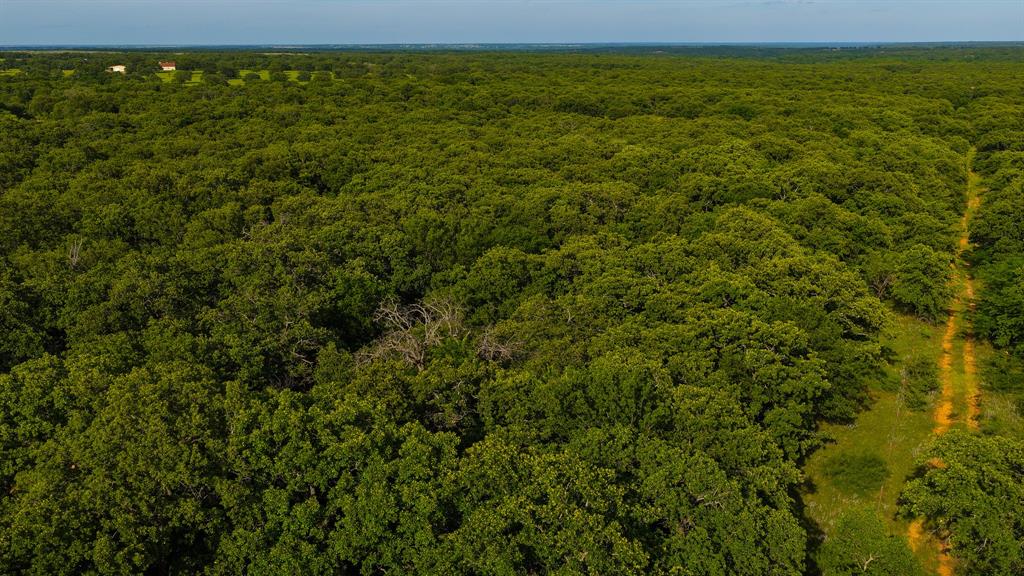 3641 Carpenter Road Nocona, TX 76255 - Photo 18 of 38
