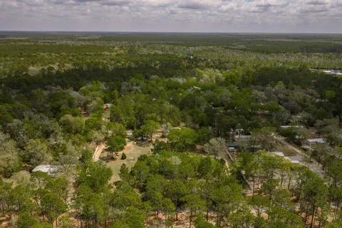 a view of a green field with lots of bushes