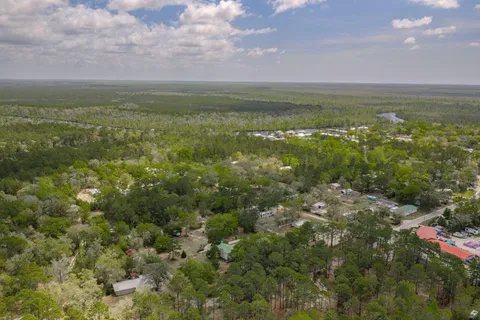 a view of a forest
