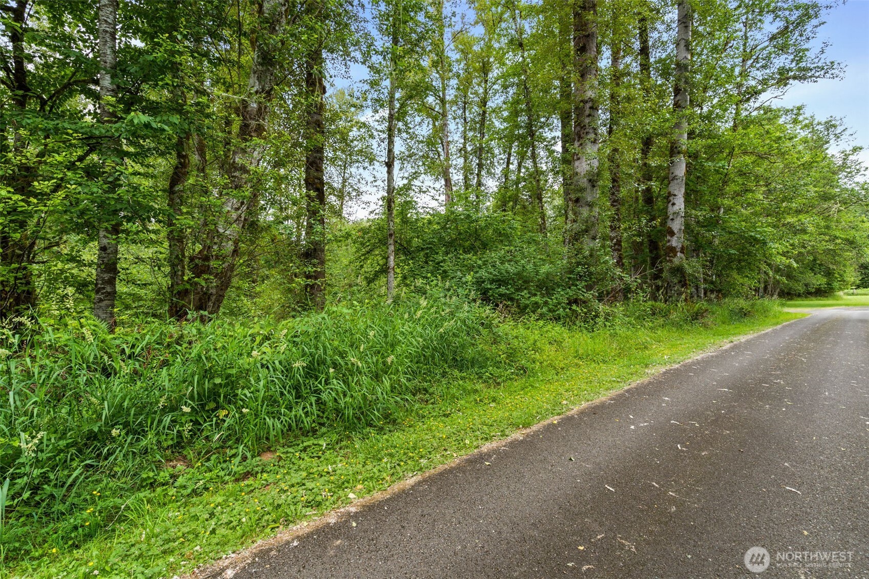 -xxx Harmony Road Mossyrock, WA 98564 - Photo 18 of 19