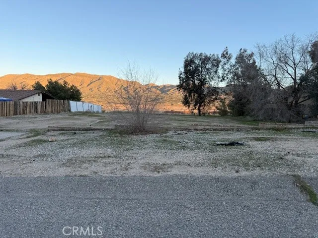a view of dirt yard with a large tree