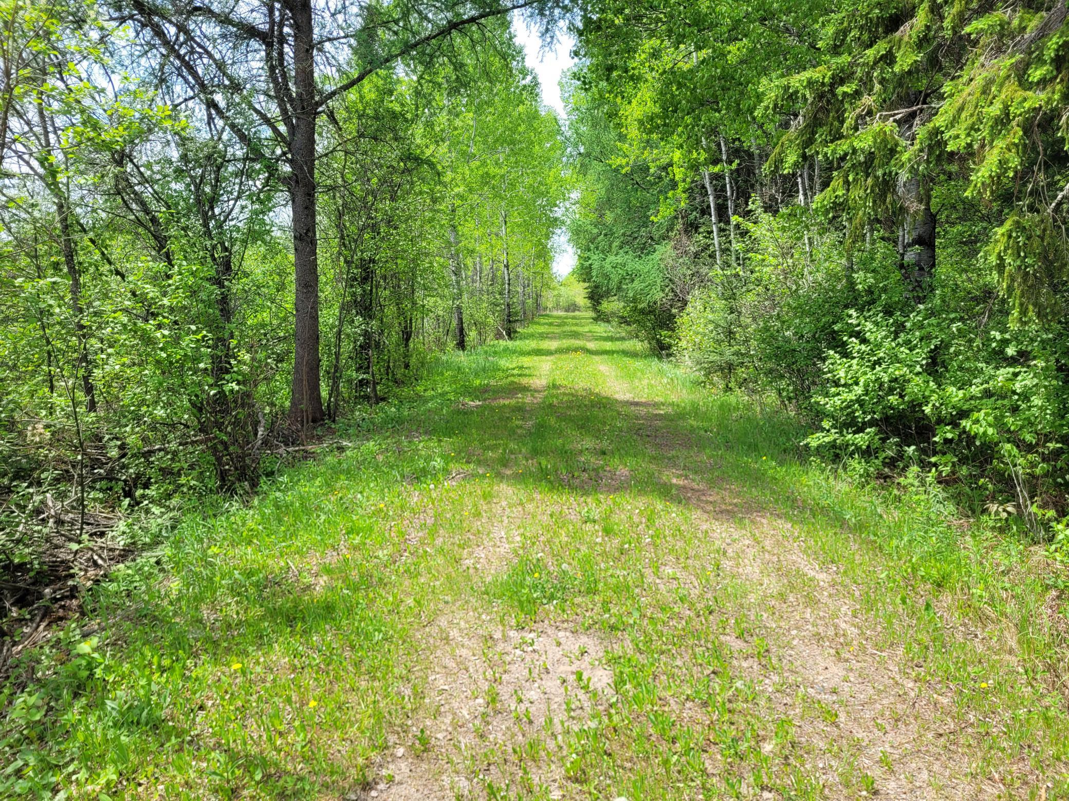 68401 County Road 547 Cook, MN 55723 - Photo 2 of 29