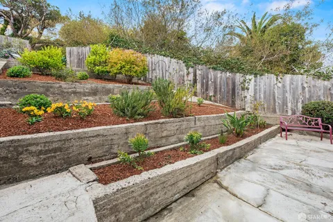 a view of a backyard with plants