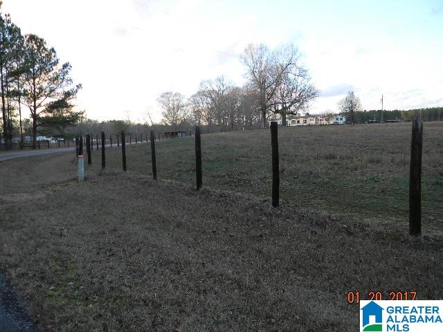 151 Glenn Road Wilsonville, AL 35186 - Photo 33 of 34
