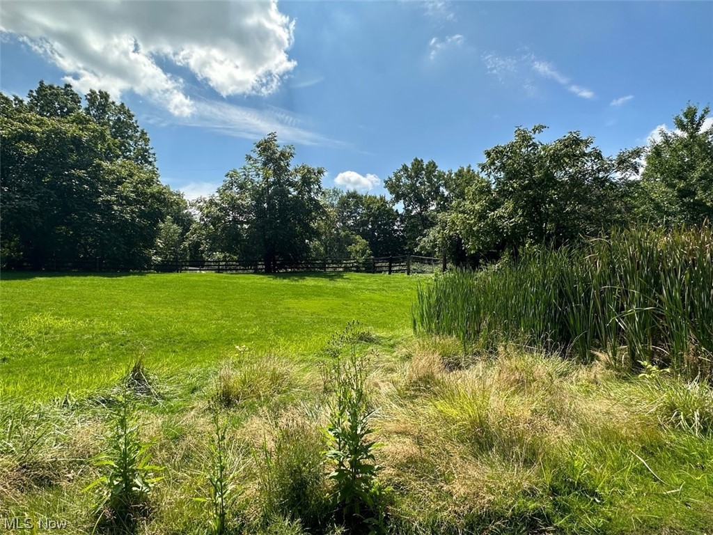 Lynn Road Kent, OH 44240 - Photo 22 of 33 View of nature