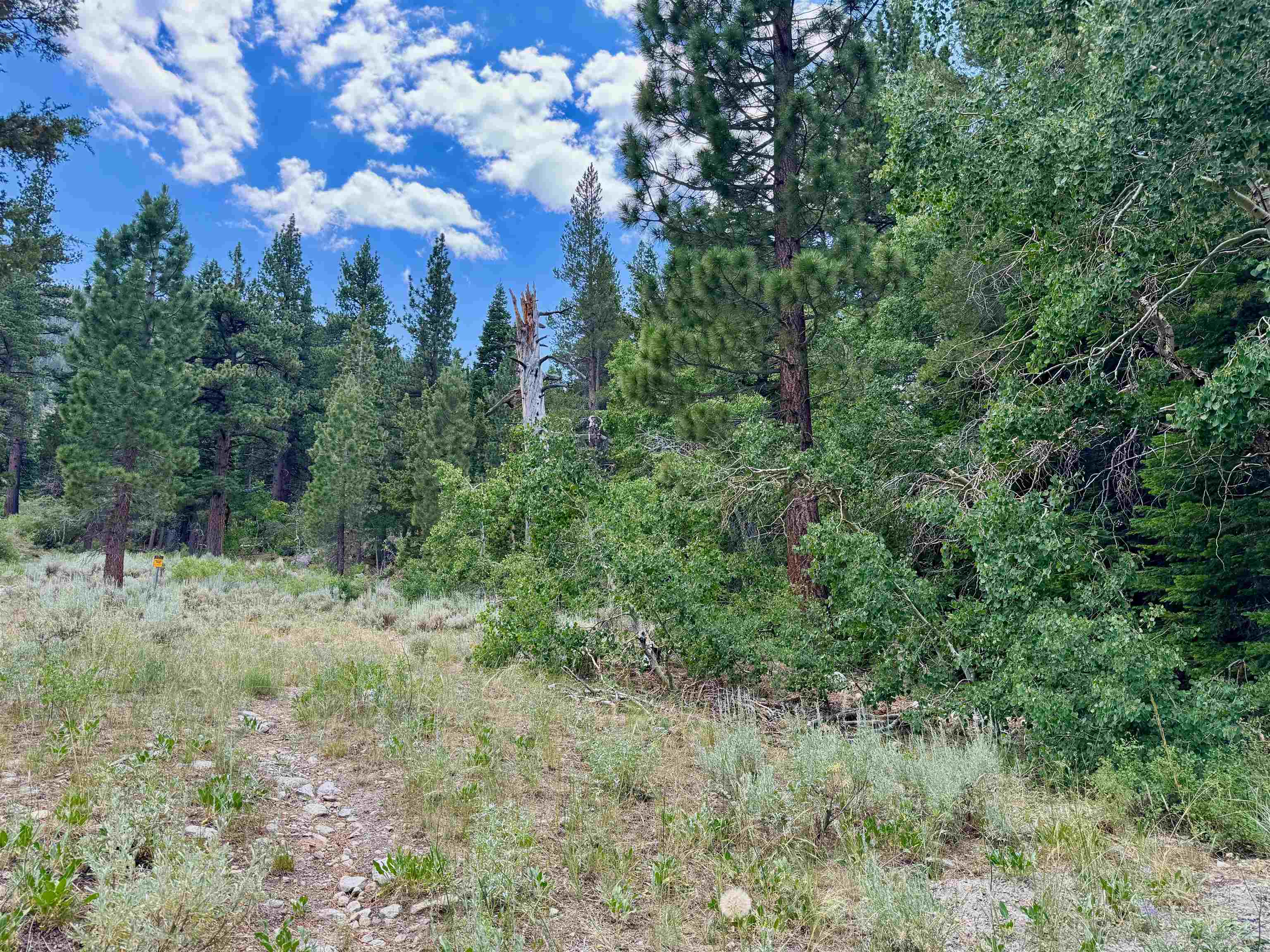 85 Shadow Pines Road June Lake, CA 93529 - Photo 10 of 14 View of local wilderness