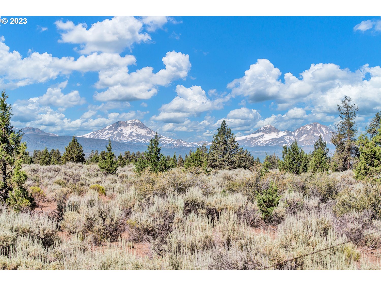 67100 Fryrear Road Bend, OR 97703 - Photo 3 of 37 a view of a bunch of trees