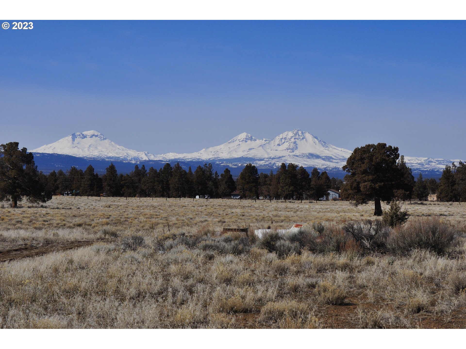 67100 Fryrear Road Bend, OR 97703 - Photo 4 of 37 a view of a dry yard