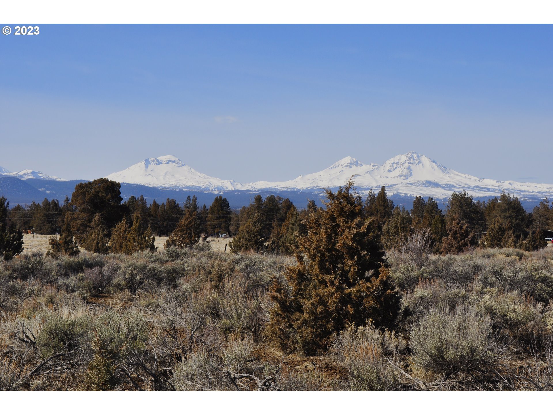 67100 Fryrear Road Bend, OR 97703 - Photo 5 of 37 a view of a dry yard