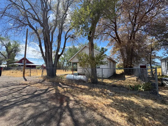 a view of a yard with a tree