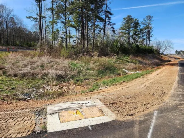 a view of a yard with trees