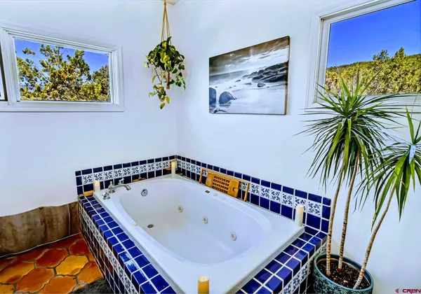 a bathroom with a book shelf and a potted plant